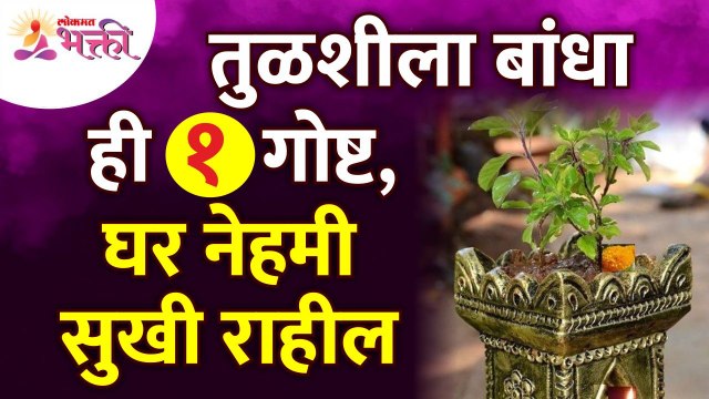 तुळशीला कोणती १ वस्तू बांधली तर घर नेहमी सुखी राहिल? Benefits of Tulsi | Vastushastra tips for home