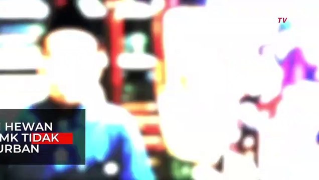 NU Nyatakan Hewan Ternak Terjangkit PMK Tidak Sah untuk Hewan Kurban Idul Adha