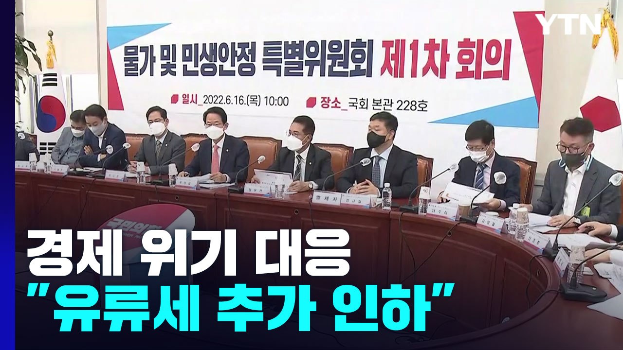 與, 물가 안정 총력..."유류세·할당 관세 조정 협의" / YTN