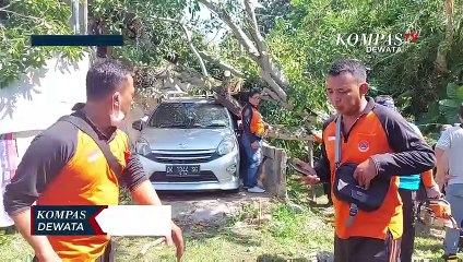 Pohon Tumbang Timpa Mess Guru & Kendaraan