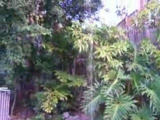 Coolest Guy on the Planet