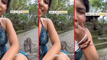 Kısa eteğiyle yere çömelen genç kadın, maymunun tacizine uğradı
