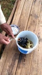 76 yaşındaki Akif amca, yavru kargayı bebek gibi besliyor