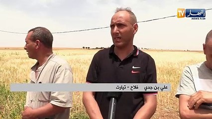 تيارت: علي ..فلاح يتحدى الظروف لإنتاج أنواع الحبوب والخضروات رغم إنعدام الكهرباء