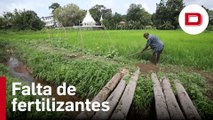 La falta de fertilizantes castiga a los agricultores en plena crisis en Sri Lanka