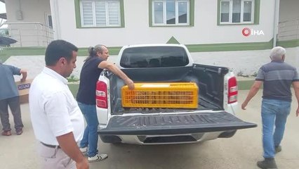 Çiftçilerin korkulu rüyasıydı... Biyolojik mücadele için keklik bırakıldı