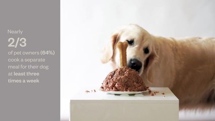 Average pet owners say their pet’s food is similar to their own