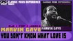 Marvin Gaye - You don't Know what Love Is [1961]