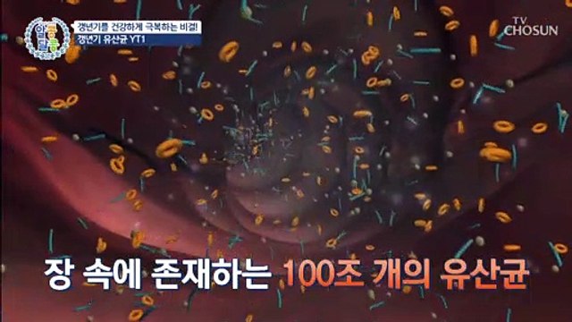 갱년기 증상을 효과적으로 조절하는 ‘갱년기 유산균 YT1’ TV CHOSUN 20220616 방송