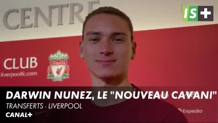 Darwin Nunez, le "nouveau Cavani" - Transferts Liverpool