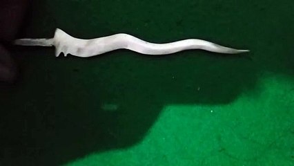 Keris sebelum dan sesudah disepuh