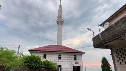 Nadir görülen "kara ağaçkakan" 4 yıldır minare havalandırmasında yaşıyor