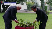Momen Akbar Jokowi Ajak Presiden Jerman Tanam Pohon di Istana Bogor