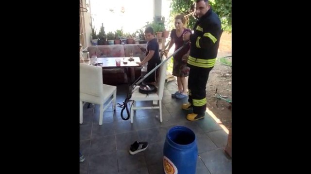 Muğla’da yatağın altında engerek yılanı yakalandı