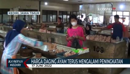 Video herunterladen: Harga Daging Ayam Tembus 35 Ribu Rupiah Per Kilogram