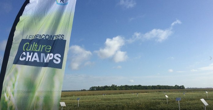 Direction le Loir-et-Cher pour parler gestion des ray-grass et vulpins sur céréales à paille