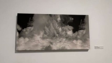 La poesia e l'arte: viaggio circolare nella mostra "Cosmogonia"