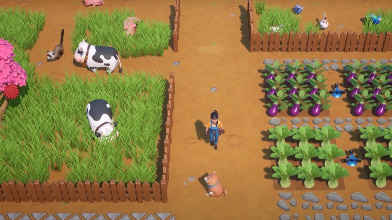 Coral Island - In der Farming-Sim kümmert ihr euch um Schleichkatzen, Wachteln und mehr