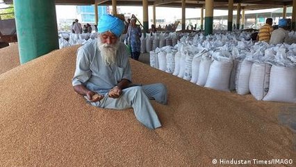 Indian farmers struggle under extreme heat and govt export ban