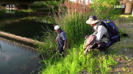 이것이 야생이다 3 - 도시의 야생 최강자들_#002