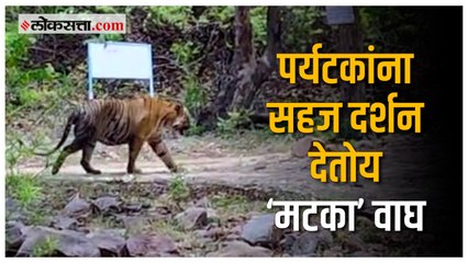 मंदिरात दर्शन घेऊन परतताना कॅमेऱ्यात कैद झाला ‘मटका’