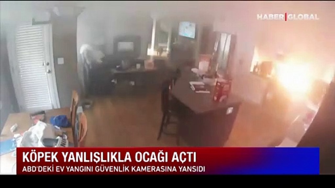 Acıkan köpek yanlışlıkla ocağı açtı yangın çıkardı o anlar kamerada