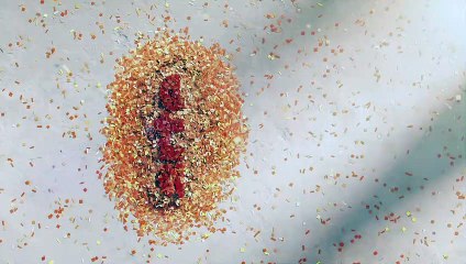 L'autre pandémie : la résistance aux antibiotiques - 21 juin