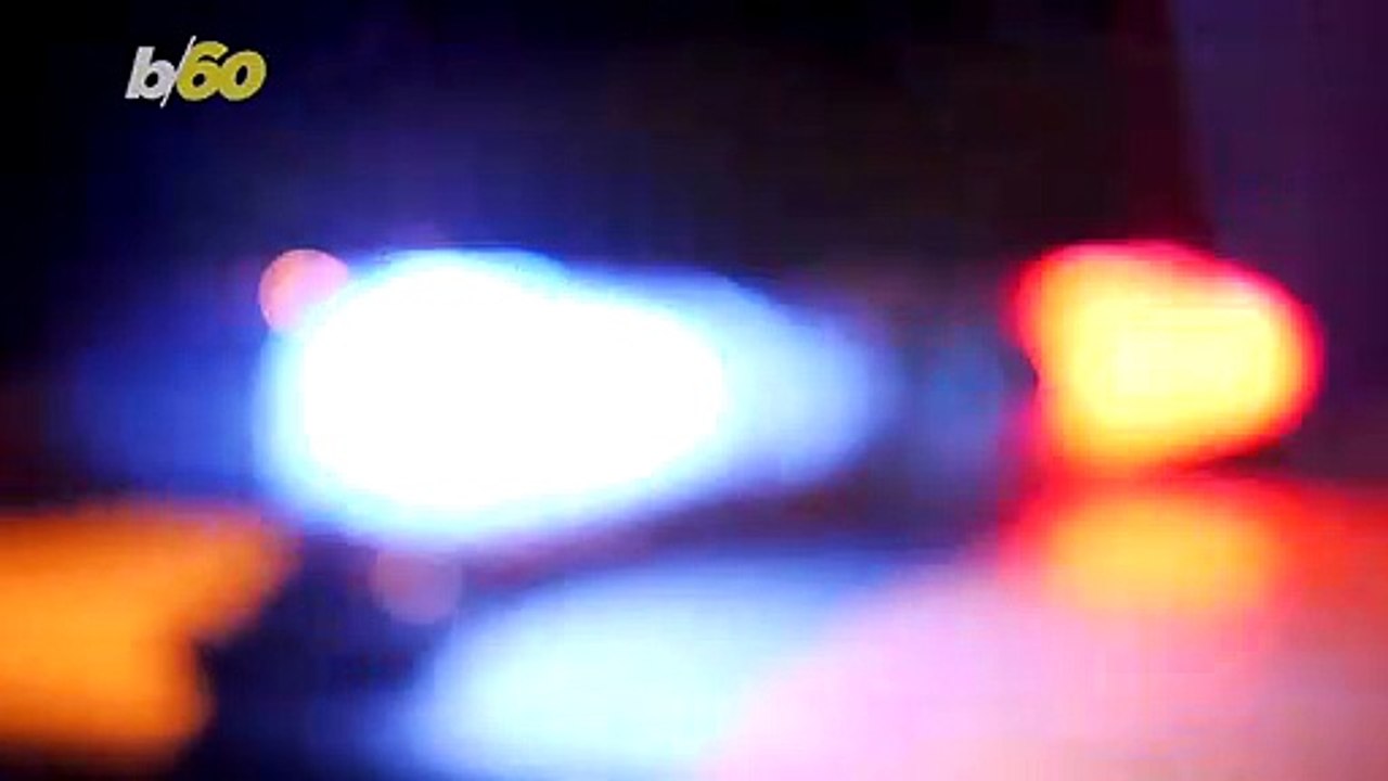 Must See! Moose Stops Traffic, Eats Snow Off of Waiting Cars