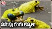Rare Species Of Yellow Frogs Spotted In Peddapalli Dist _ V6 News