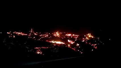 Watch Video: खेत में लगी आग, तीन घंटे की मशक्कत से पाया काबू