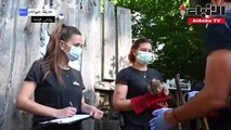 أول فحص طبي لثلاث من صغيرات الوشق في حديقة حيوانات في فرنسا