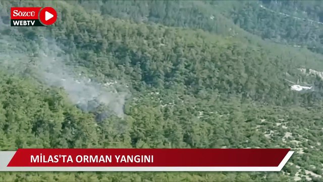 Milas’ta orman yangını başladı