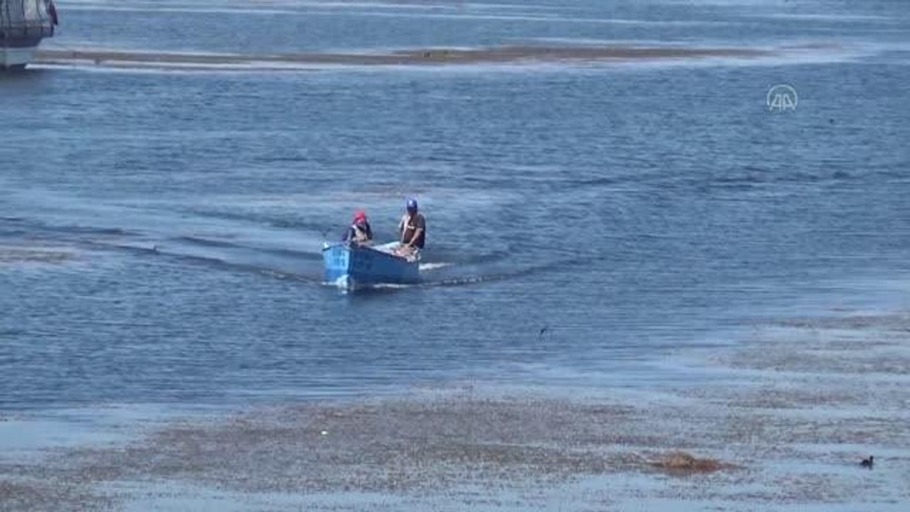 Beyşehir Gölü'nde yeni balık avı sezonu umutlu başladı