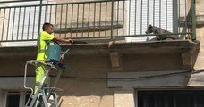 Ils viennent en aide à un chien coincé sur un balcon en plein soleil pour le réhydrater et le rafraîchir