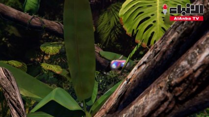 الغطاء النباتي في المناطق الحضرية يساهم في خفض درجات الحرارة والتنوع البيولوجي