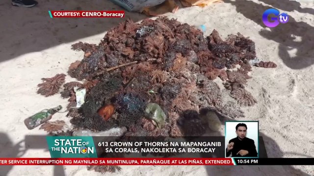 613 Crown of Thorns na mapanganib sa corals, nakolekta sa Boracay | SONA