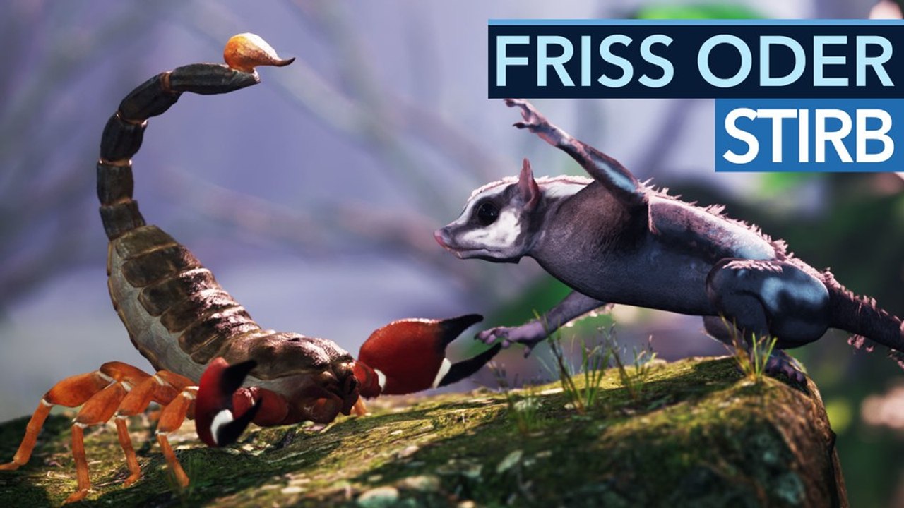 So habt ihr die endzeit noch nie erlebt - away: the survival series