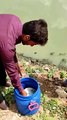मच्छरों के प्रकोप को रोकने के लिए 40 तालाबों में छोड़ी मछली Video