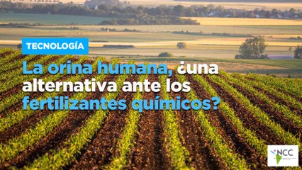 La orina humana, ¿una alternativa ante los fertilizantes químicos?