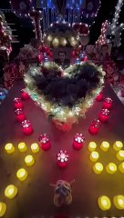 Les fans de Johnny Hallyday se recueillent sur sa tombe, mercredi 15 juin 2022.