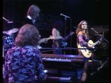 Under The Falling Sky (Jackson Browne cover) - Bonnie Raitt (live)