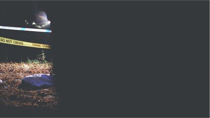 Une mère de 41 ans mise en examen après la découverte des cadavres de deux nouveaux-nés