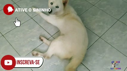 COMO CONQUISTEI MINHA CASA AOS 16 ANOS COM A LEI DA ATRAÇÃO