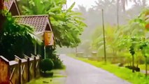 Heavy Rain Sounds On The Village, Best Soothing Sounds for Sleeping, Rain Sounds for Deep Sleep