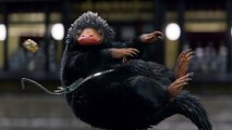 Phantastische Tierwesen: Grindelwalds Verbrechen - Film-Special: J.K. Rowling präsentiert die neuen magischen Kreaturen