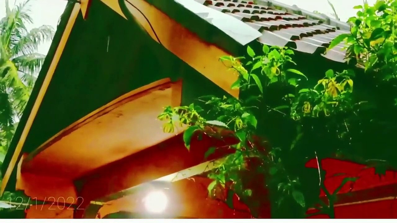 Rain Sounds Falling on Roof, Heavy Rain Sounds for Deep Night Sleep, Calm Your Mind