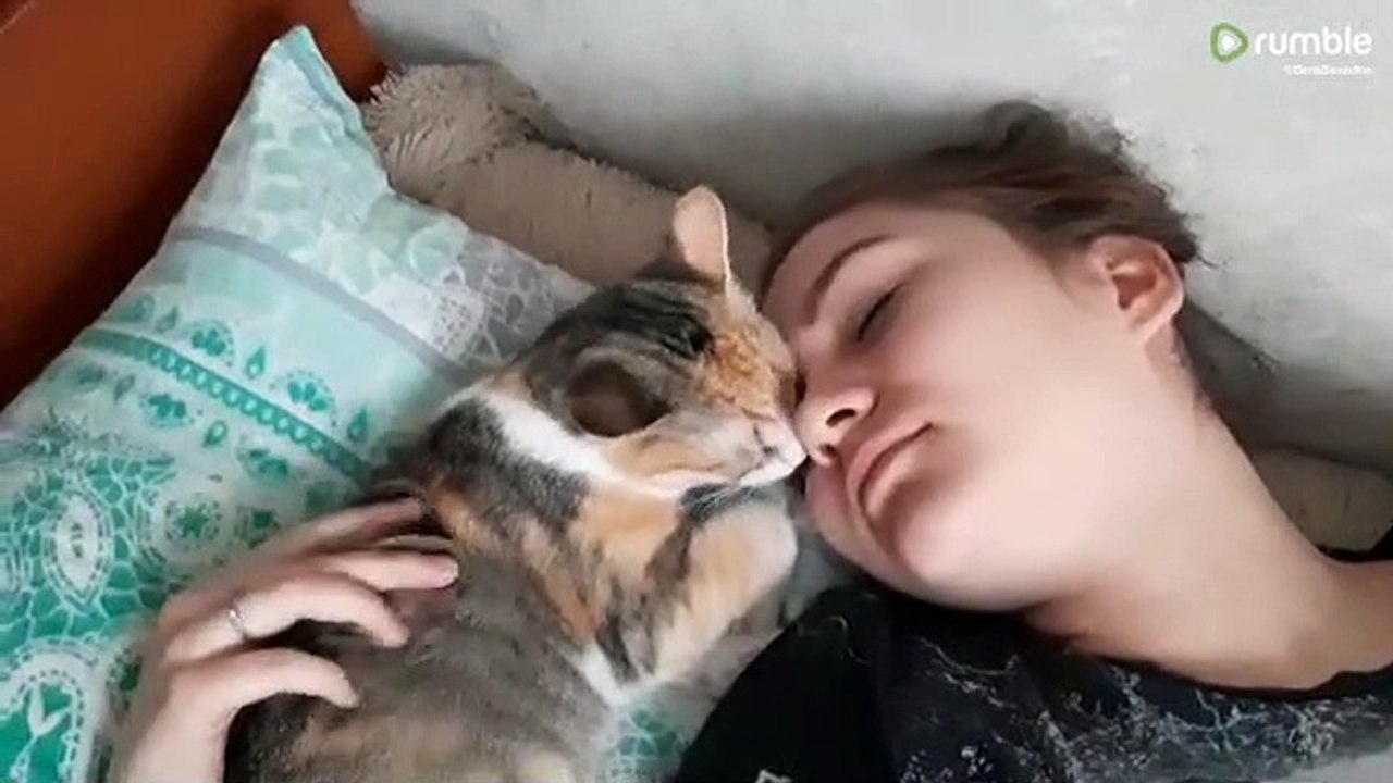 The world's cutest hugs