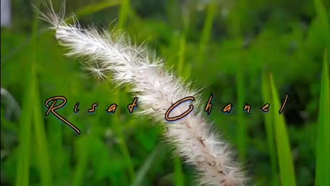 INTRO