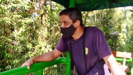 mqn'Este tico trabaja todo el día en las copas de los árboles'160622