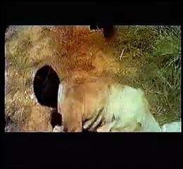 film di kung fu-wang la furia che uccide -1972/74-parte 1